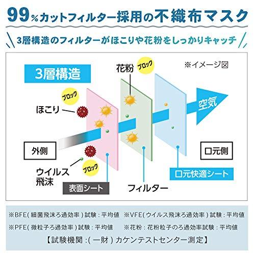 [アイリスオーヤマ] マスク 不織布 プリーツマスク 40枚入 大きめ 耳が痛くならない PK-NV40LL ホワイト 白｜white-wings2｜05