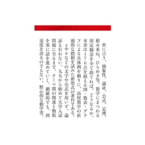 たくましい数学 九九さえ出来れば大丈夫 (インターナショナル新書)｜white-wings2｜07