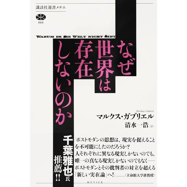 なぜ世界は存在しないのか (講談社選書メチエ)｜white-wings2｜03