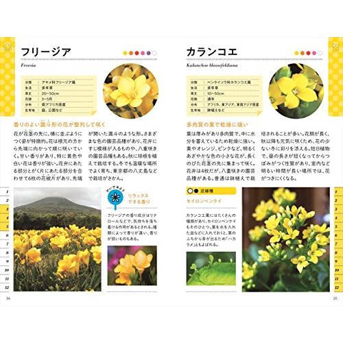 色と形で見わけ散歩を楽しむ花図鑑 : White Wings2 - 通販 色と形で見わけ散歩を楽しむ花図鑑 : White Wings2 - 通販