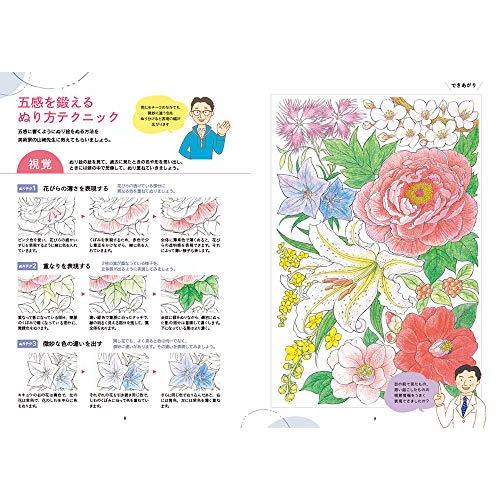 脳がみるみる若返るぬり絵 花鳥風月 : White Wings2 - 通販 - Yahoo 