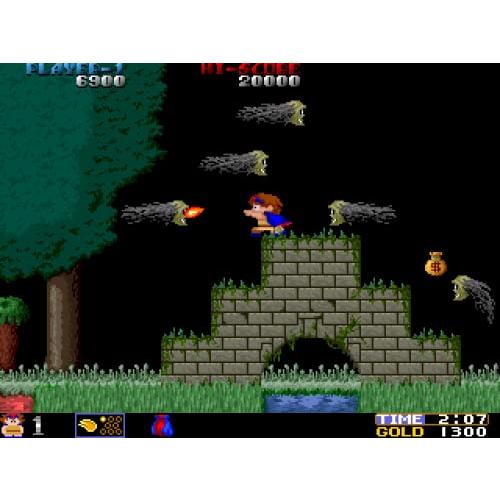 飛翔鮫 鮫 鮫 -TOAPLAN ARCADE GARAGE- - Switch（PlayStation4