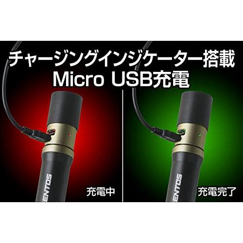 GENTOS(ジェントス) 懐中電灯 LEDライト 充電式(専用充電池