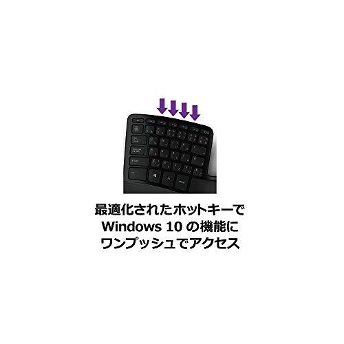 マイクロソフト スカルプト エルゴノミック デスクトップ L5V-00030 : ワイヤレス キーボード マウス テンキー セット セキリュティ｜white-wings2｜04