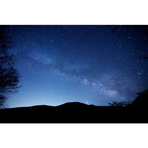 大人気 Vixen ポータブル赤道儀 星空雲台ポラリエ(WT) ホワイト 355051 【3250173957】(20646円)