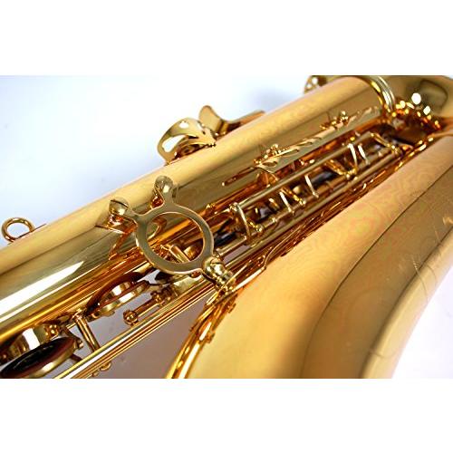 Kaerntner ケルントナー アルトサックス 428 管楽器 吹奏楽器 楽器