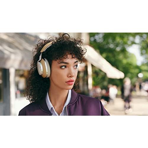 バウワースアンドウィルキンス Bowers & Wilkins フラッグシップ