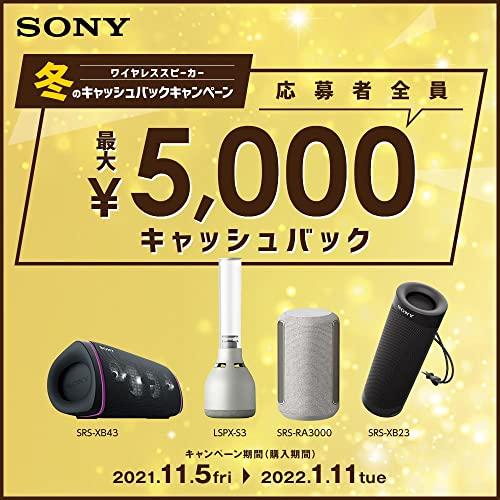 ソニー ワイヤレスポータブルスピーカー SRS-XB33 : 防水/防塵 ソニー ワイヤレスポータブルスピーカー SRS-XB33 : 防水/防塵