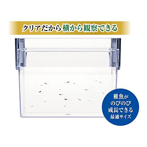 GEX ポリスチレン メダカ元気 育てるお守りケース 稚魚育成の必需品 水替え簡単｜white-wings2｜06