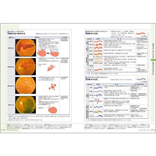 病気がみえる 12冊セット 病気がみえる - チーム医療を担う医療人共通のテキスト