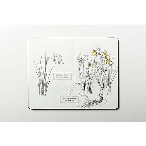 BOTANICAL DIARY ボタニカルダイアリーに「植物画」を描いて、楽しむ｜white-wings2｜02