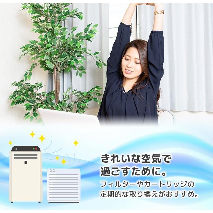 SHARP（シャープ） 空気清浄機 フィルター FZ-H40MF プラズマ