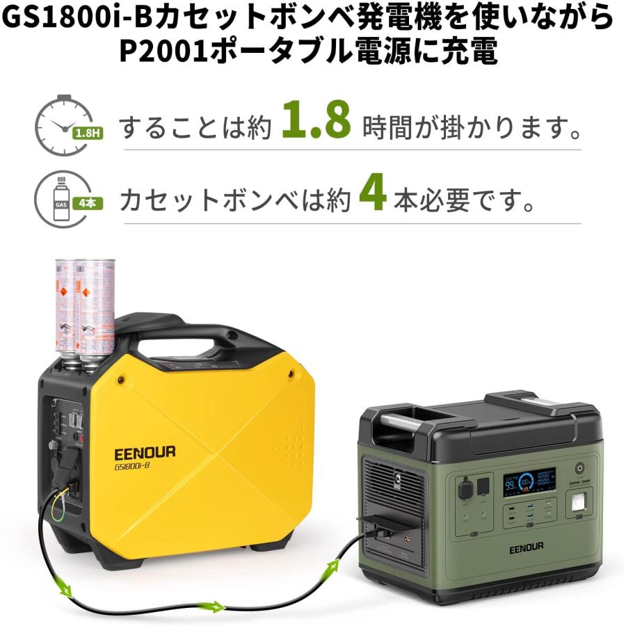 EENOUR 「2点セット」EENOUR ポータブル電源 P2001PLUS EENOUR 「2点セット」EENOUR ポータブル電源 P2001PLUS