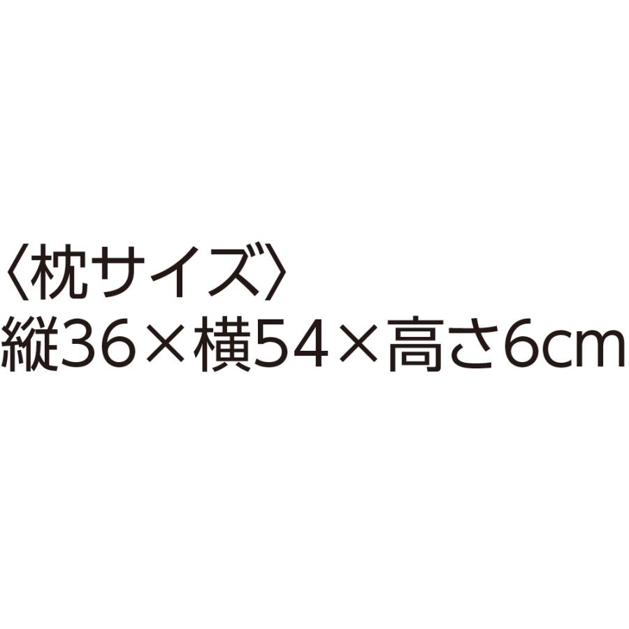 整骨院の先生が薦める枕　39113（上向きで寝やすい）ケアファッション | ケアファッション・アクティブ | 05