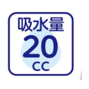 紳士安心快適ブリーフ【吸水量20cc】(2枚組） 800327 S〜３Lの幅広いサイズ展開　ケアファッション | ケアファッション・アクティブ | 03