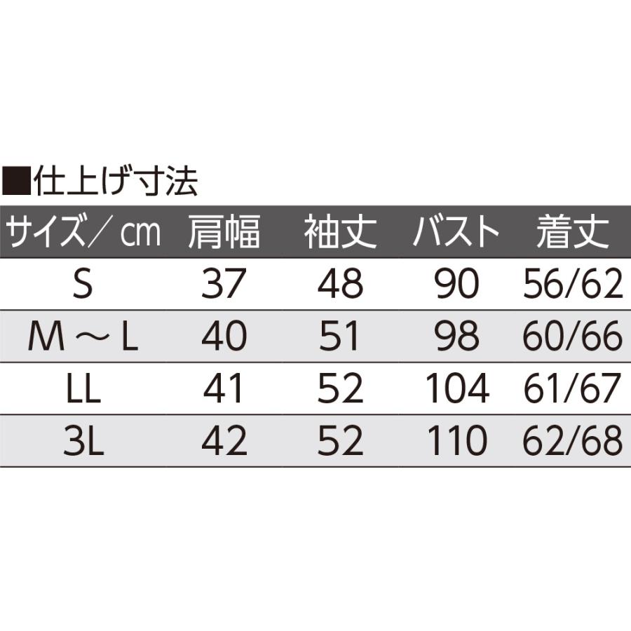 婦人ふんわり微起毛斜め釦ホールピンタックブラウス 821893 ちちょっぴり特別感のあるピンタックブラウス ふんわり微起毛素材で快適　ケアファッション　 |  | 04