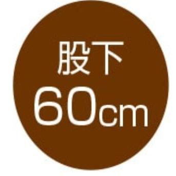 婦人深履きらくらくパンツ 89211 年間履けるシワになりにくい生地です。ケアファッション 日本製 | ケアファッション・アクティブ | 06