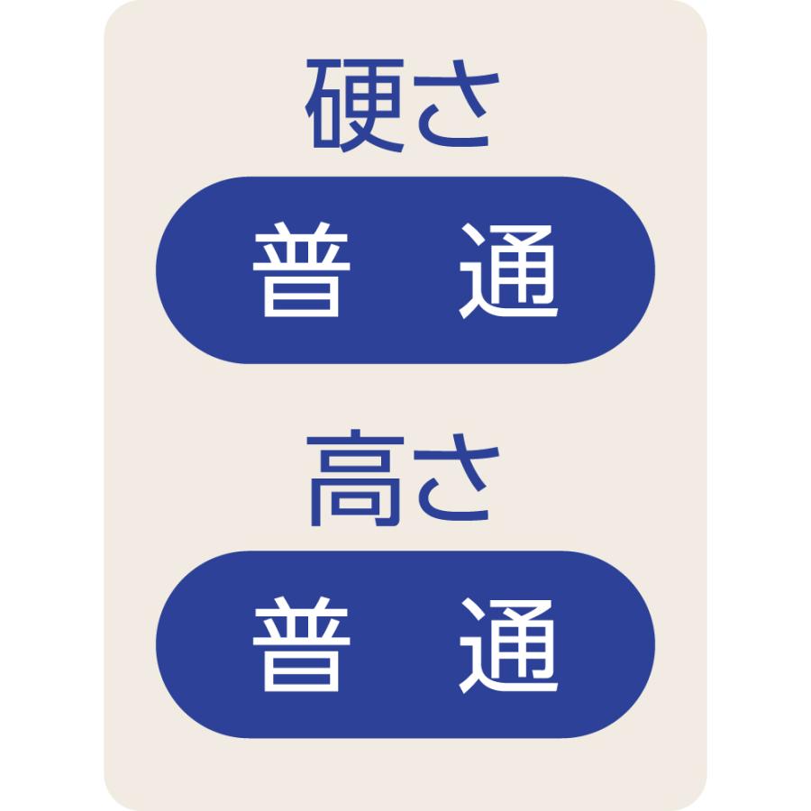 防ダニ抗菌防臭枕（干しヒモ付）89433洗えて乾きが早い枕　ケアファッション |  | 03
