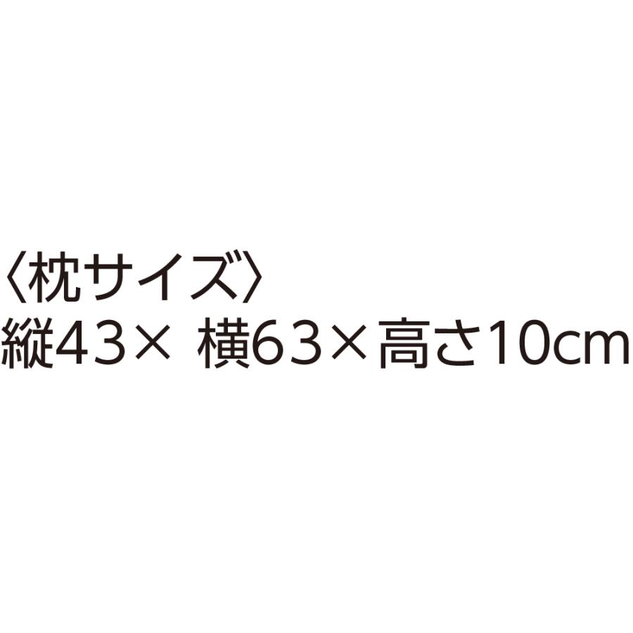 防ダニ抗菌防臭枕（干しヒモ付）89433洗えて乾きが早い枕　ケアファッション |  | 05