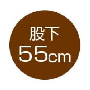 婦人おしりスルッとカチオンライトパンツ 89880 (S〜３L)のびのび素材ですべりもよく、ホーム着にぴったり ケアファッション |  | 11