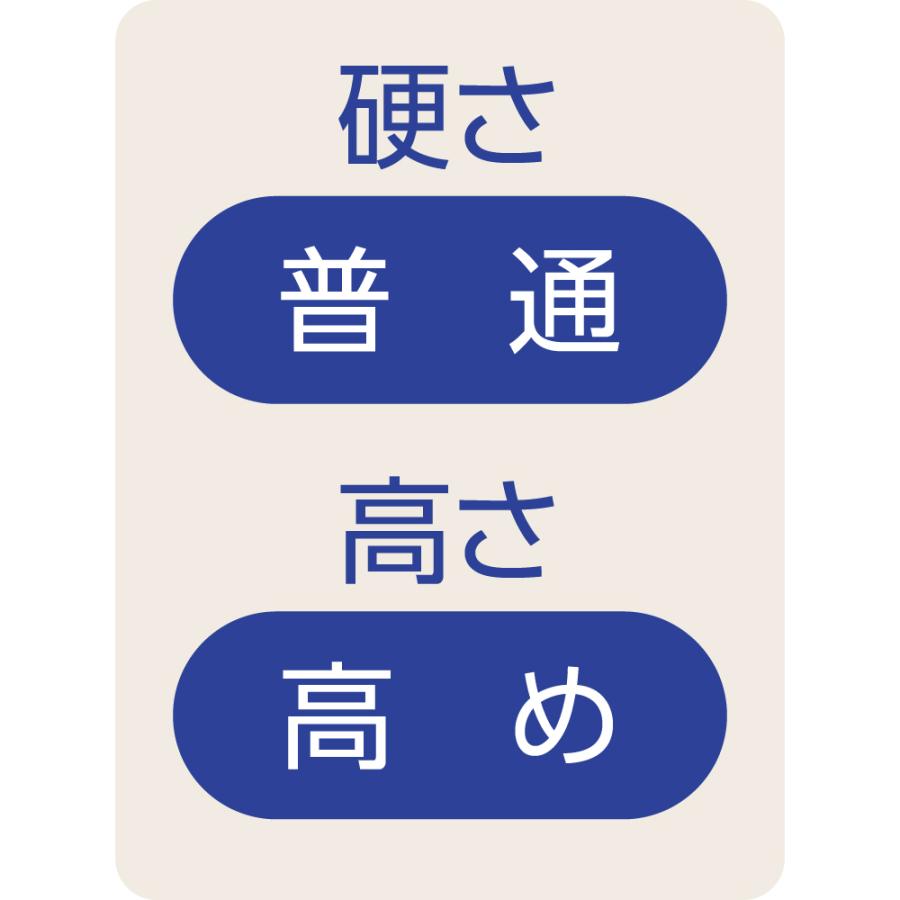整骨院の先生が薦める枕　97555 （横向きで寝やすい） ケアファッション |  | 02