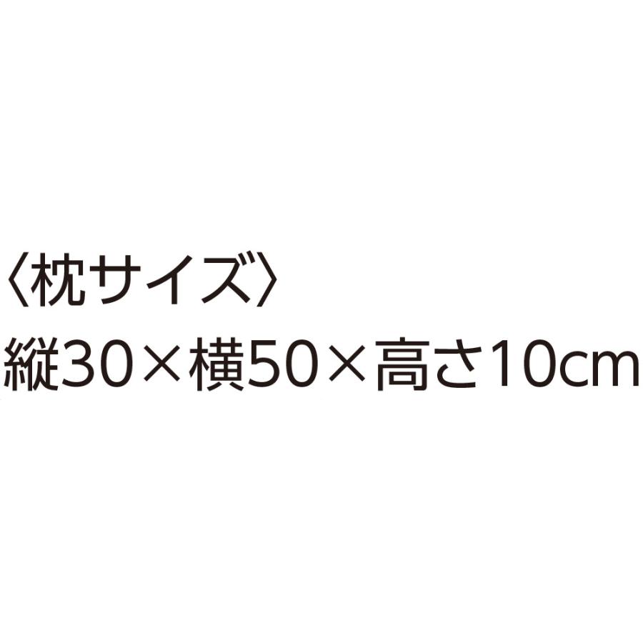 整骨院の先生が薦める枕　97555 （横向きで寝やすい） ケアファッション |  | 03