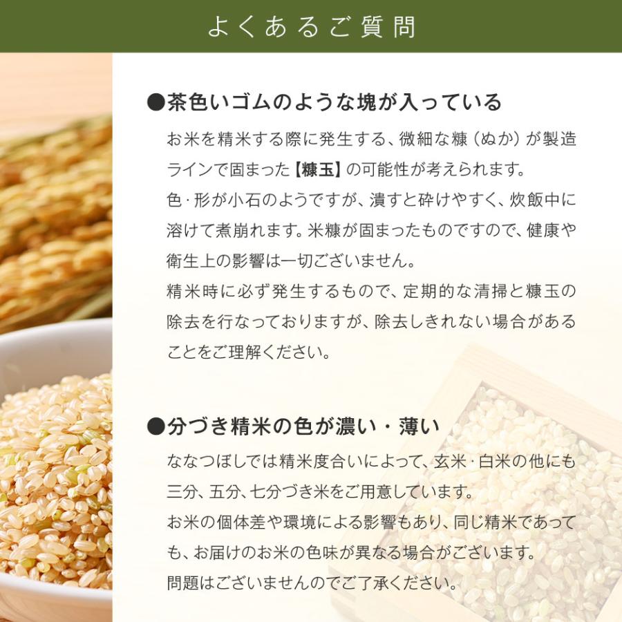 令和6年度産 ホワイトライス ななつぼし 5kg 無洗米 送料無料 放射能
