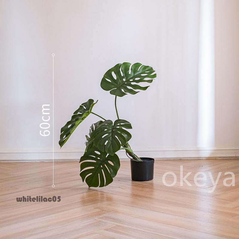 モンステラ モンステラツリー グリーン 観葉植物 造花 タヒチ 南国 夏