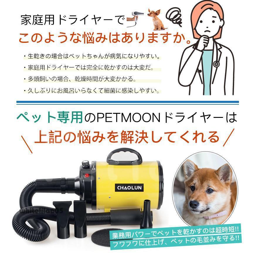 ペット用ドライヤー 1年間保証付 わんちゃん用ドライヤー ハンズフリー