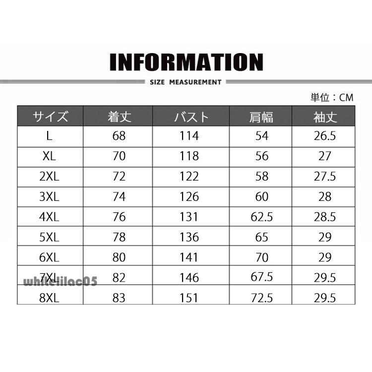A.P.C. ナイロン ハーフジップ アノラック パーカー 実寸M サイズ 半袖パーカー メンズ アノラック ハーフジップ ナイロン