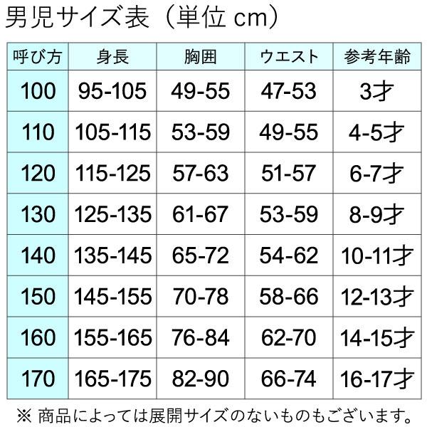 ブリーフ パンツ 2枚組 グンゼ グンゼの子供肌着 男の子用 スパンブリーフ 前あき 100cm-160cm｜whitelionclub｜06