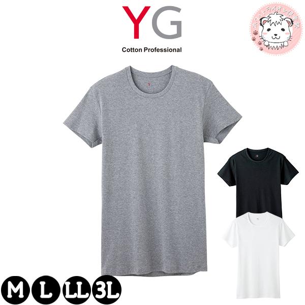 YG グンゼ クルーネック Tシャツ 丸首 抗菌防臭 綿100% M/L/LL/3L | 脇