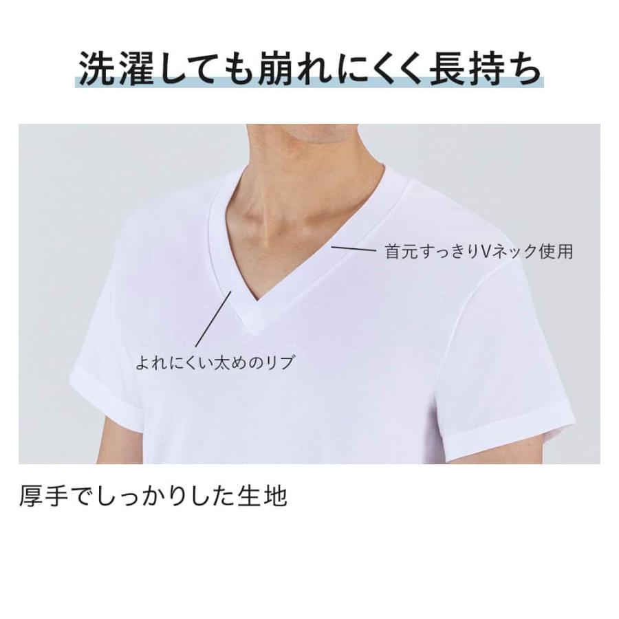 GUNZE（グンゼ） ホーキンス Vネック Tシャツ 半袖 3枚組 綿100% M/L