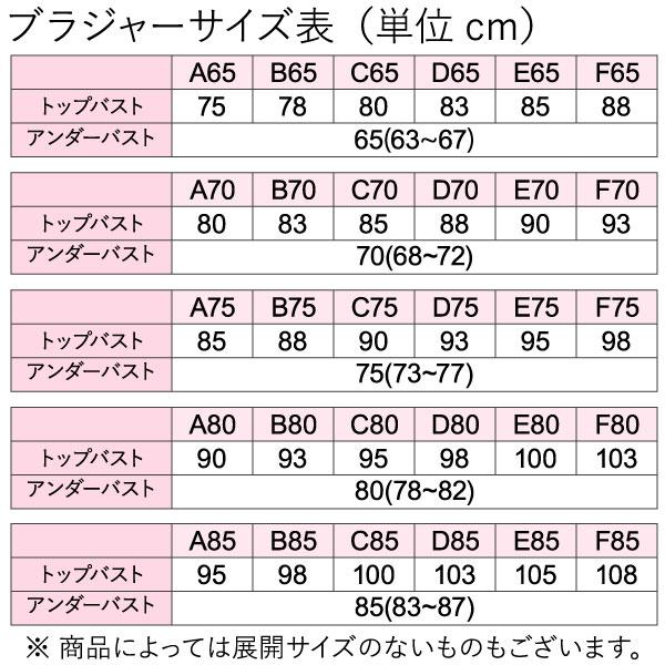 ノンワイヤーブラ ブラジャー アンダーメッシュ ノンワイヤーブラジャー ワイヤレスブラ A75-C90 おためし｜whitelionclub｜06