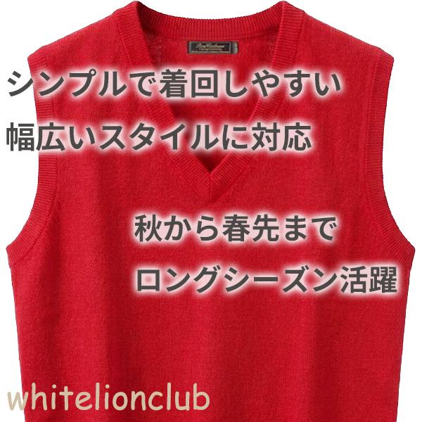 還暦 お祝い カシミヤ100% Vネック ニットベスト 赤 S/M/L/LL | メンズ