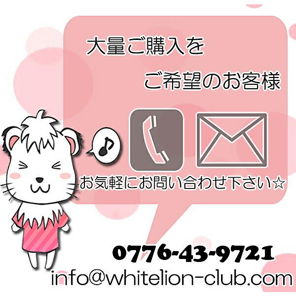 おなまえ アイロンシール お名前シール おなまえシール 2サイズ 年 組 名前シール 学校 幼稚園 保育園 体操服 バッグ アイロン 簡単 シンプル 入園 入学 進級 |  | 01