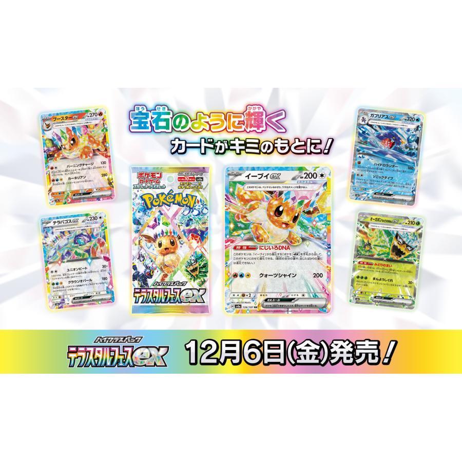 ポケモンカードゲーム 【外箱訳アリ/シュリンクなし】 テラス ポケモンカードゲーム 【外箱訳アリ/シュリンクなし】 テラス