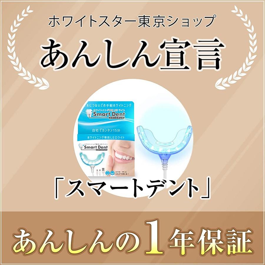 スマートデント 16灯式 本体のみ(専用ジェル別売) 一般医療機器
