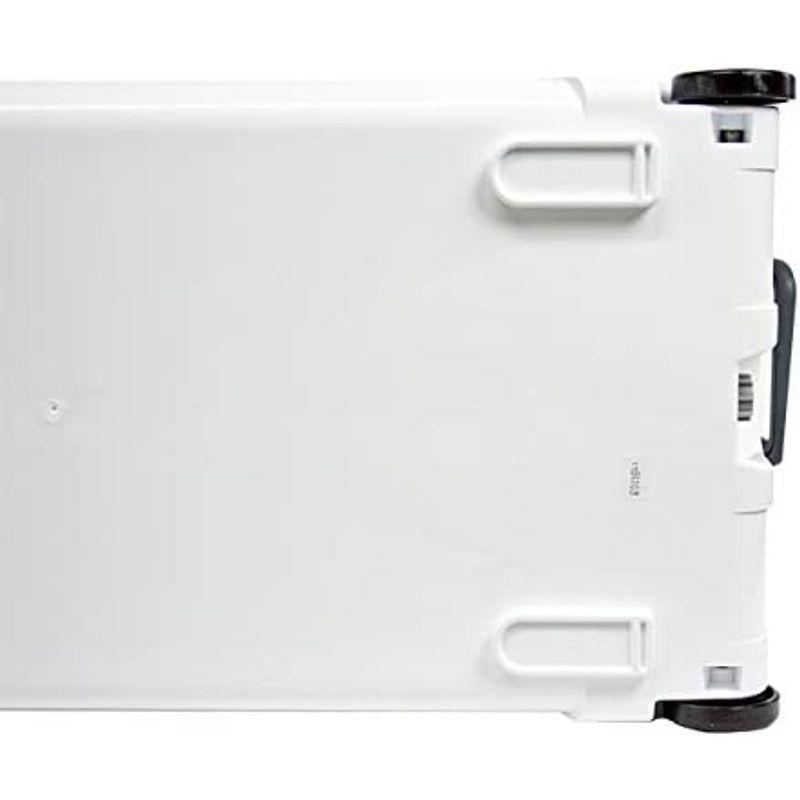 伸和(SHINWA) ホリデーランドクーラー48H 48H ホワイト SHINWA ホリデーランドクーラー48H 48H ホワイト 　