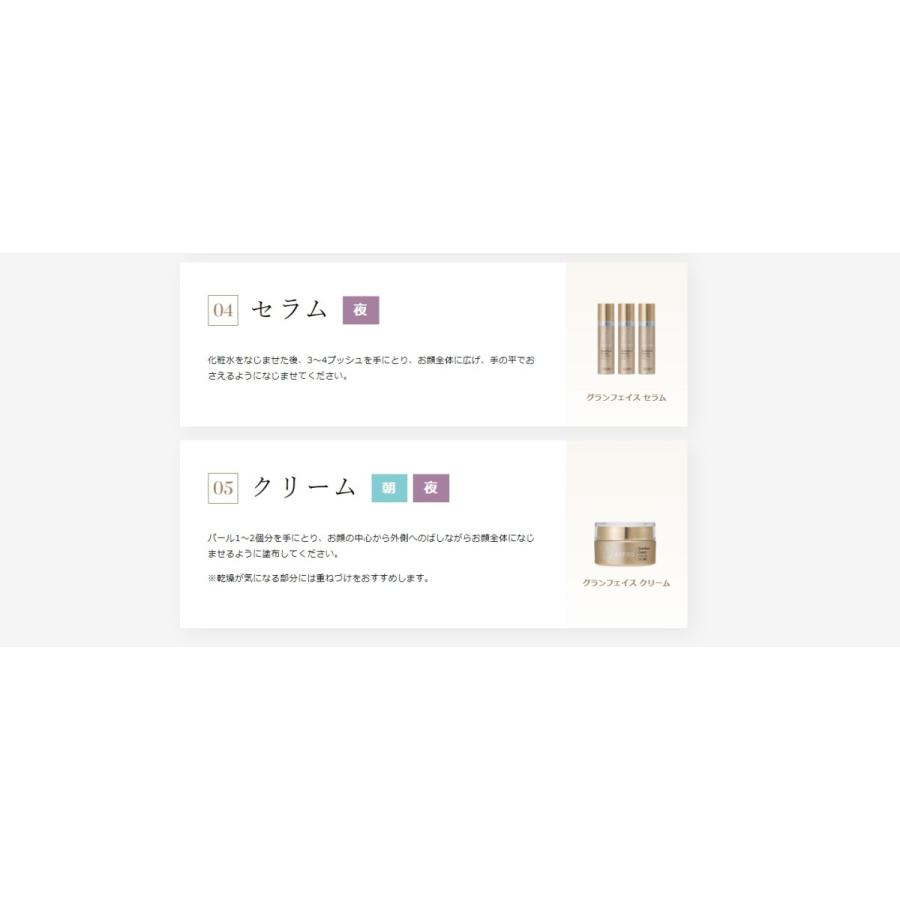 4Bホットクレンジング、エピアフタージェル 2本セット シュシュモア ホットクレンジングジェル レモンジンジャーの通販