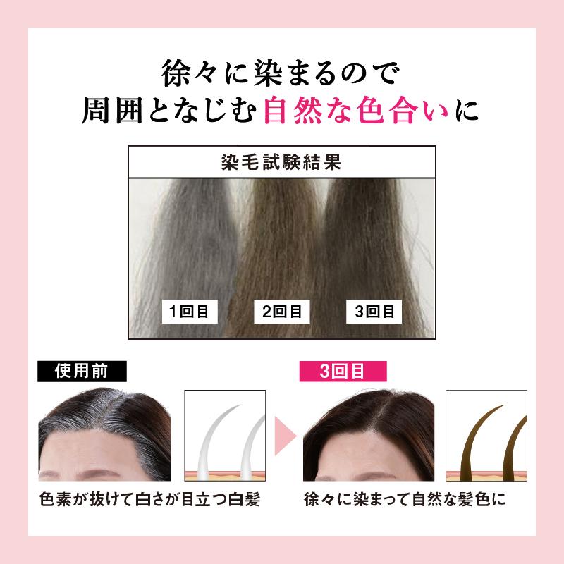 クイックヤング ヘアカラー 70g プランドゥ 白髪染め ヘアファンデ