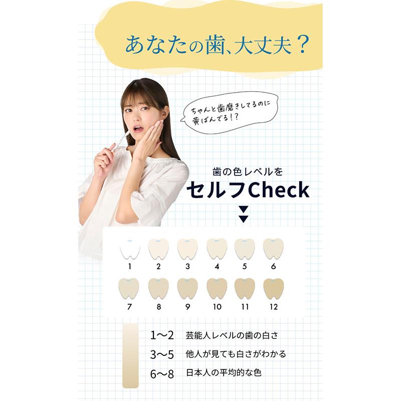 薬用 パールホワイト プロシャイン 40g 美健コーポレーション 歯磨き粉 ホワイトニング デンタルケア | ブランド登録なし | 04