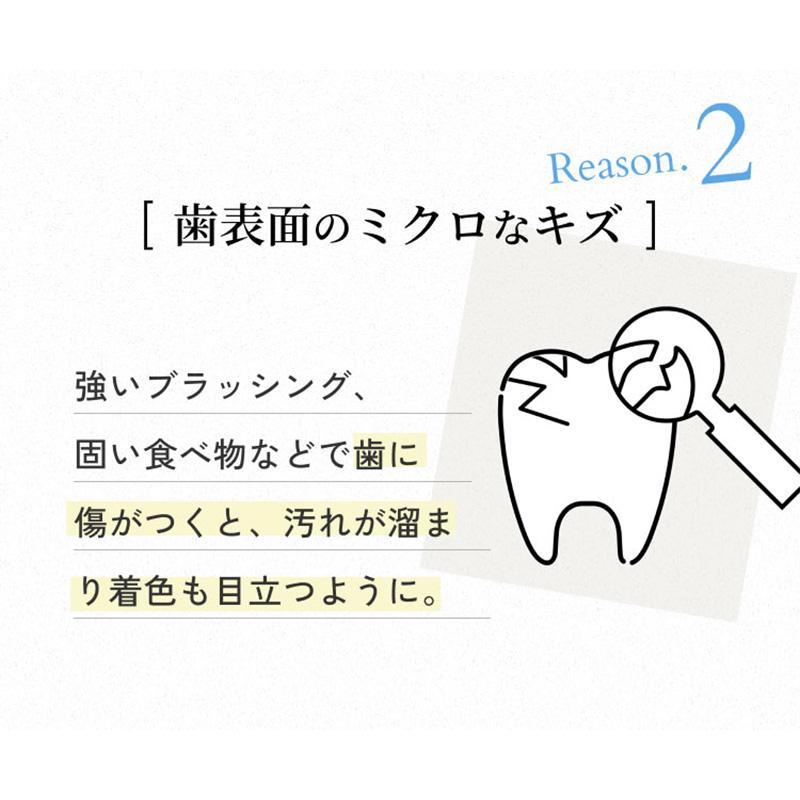 薬用 パールホワイト プロシャイン 40g 美健コーポレーション 歯磨き粉 ホワイトニング デンタルケア | ブランド登録なし | 07