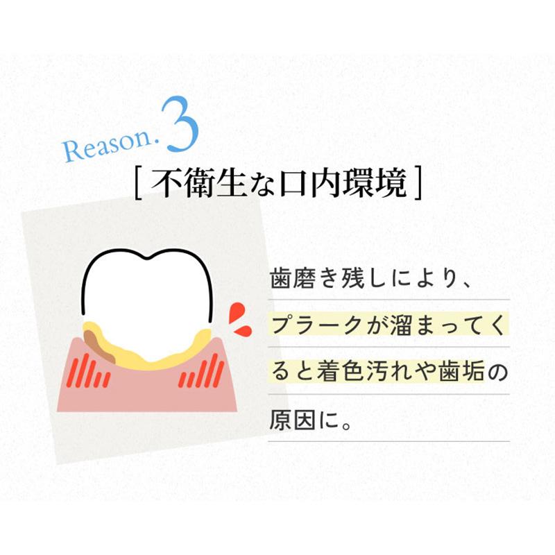 薬用 パールホワイト プロシャイン 40g 美健コーポレーション 歯磨き粉 ホワイトニング デンタルケア | ブランド登録なし | 08