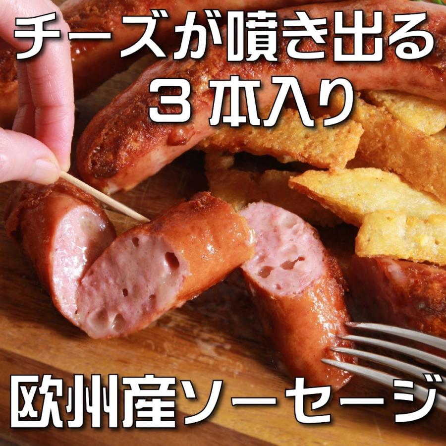 ソーセージ 2種類 食べ比べセット 特大 欧州産 オーストリア産