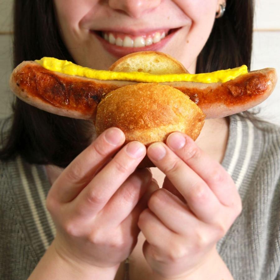 ソーセージ 2種類 食べ比べセット 特大 欧州産 オーストリア産