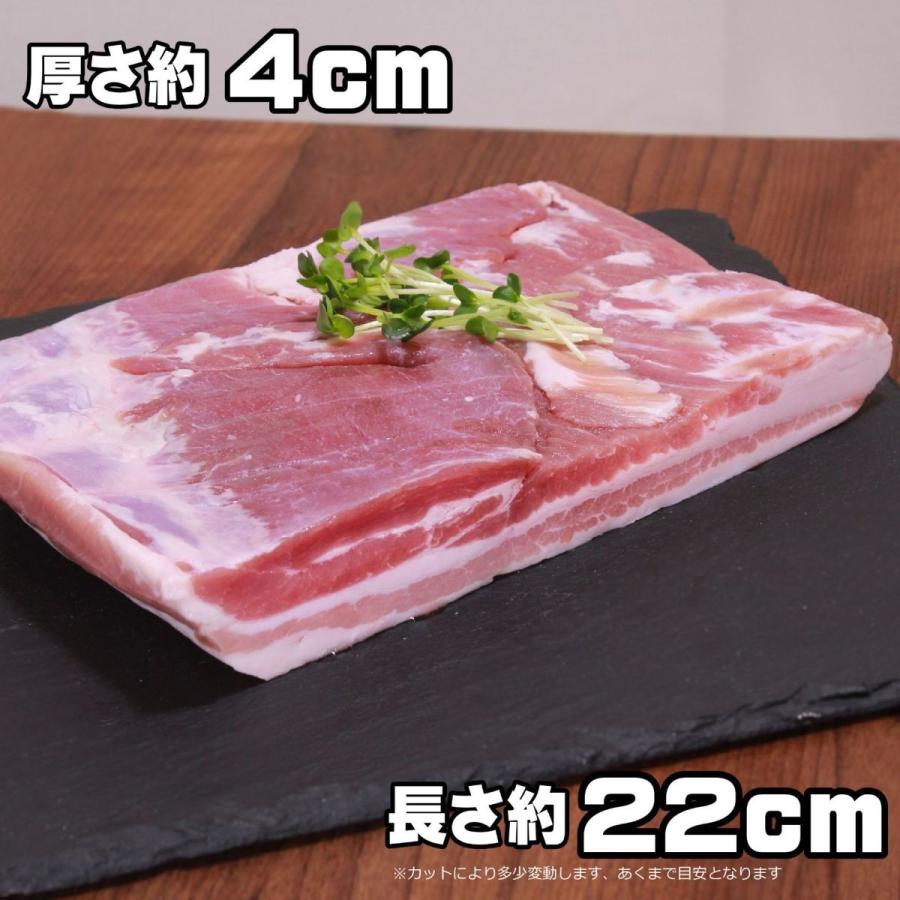 豚バラ ブロック 1kg 角煮やサムギョプサルなどに -SKU202 : ホール  