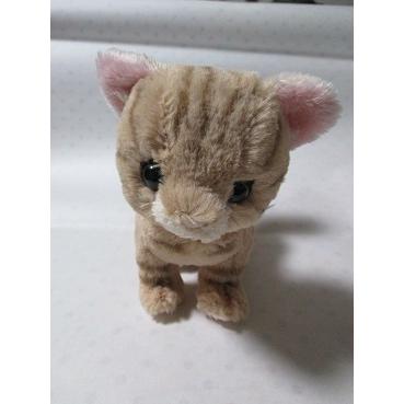 キトン ぬいぐるみ アメリカンショートヘアー Br 猫 ネコ ねこ 風遊 C865 風遊 通販 Yahoo ショッピング