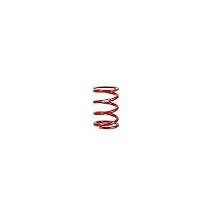 Eibach コイルオーバースプリング 0600.250.1000 Eibach Coilover Spring 0600.250 並行輸入品の画像
