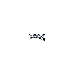 Fabtech FTS2300S ストラットキット FABTECH FTS2300S Strut Kit 並行輸入品の画像